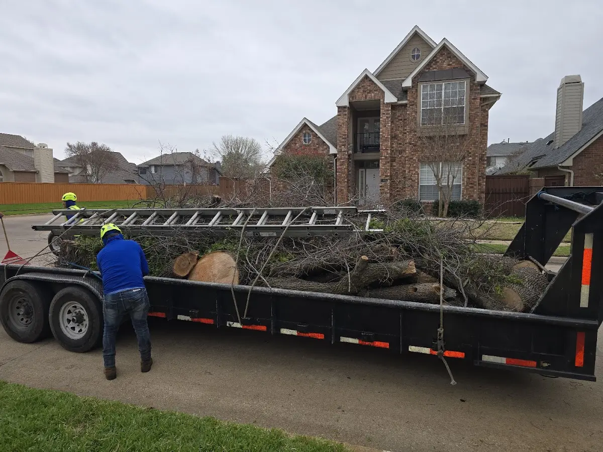 Expert Tree Fertilization with proper safety equipment in Indiantown